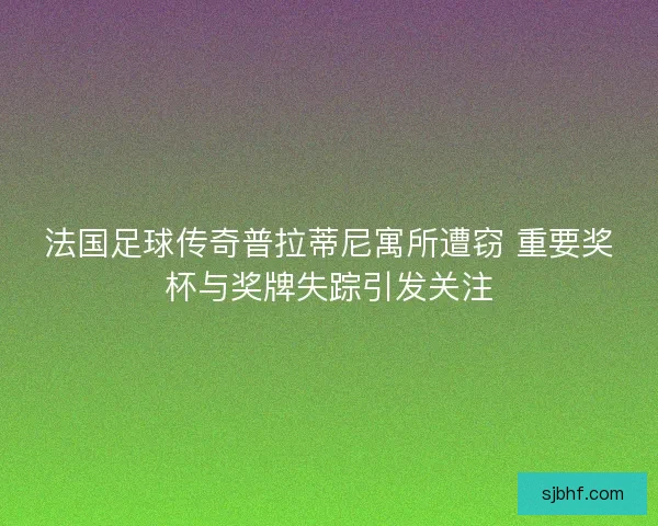 法国足球传奇普拉蒂尼寓所遭窃 重要奖杯与奖牌失踪引发关注